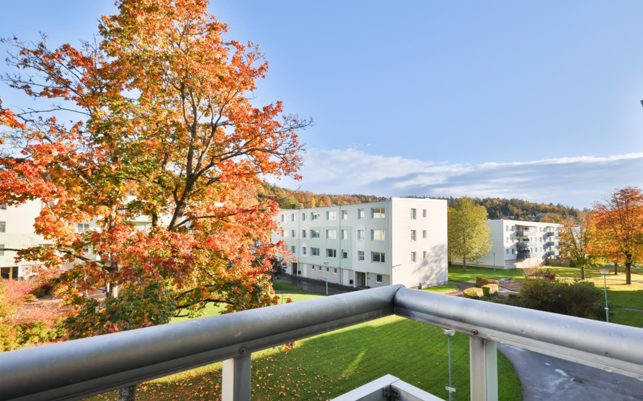 Signhome Fastighetsförmedling