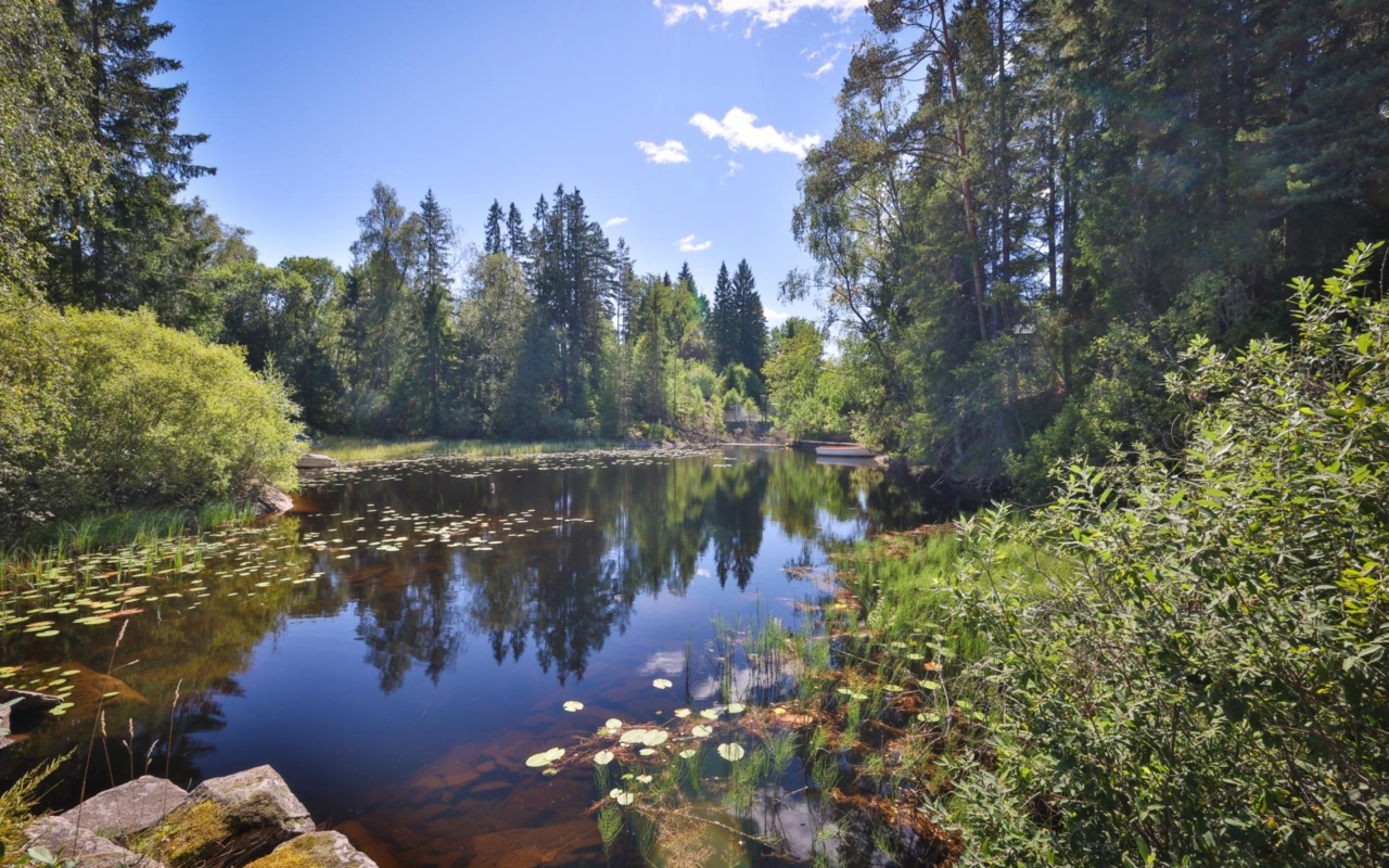 Signhome Fastighetsförmedling