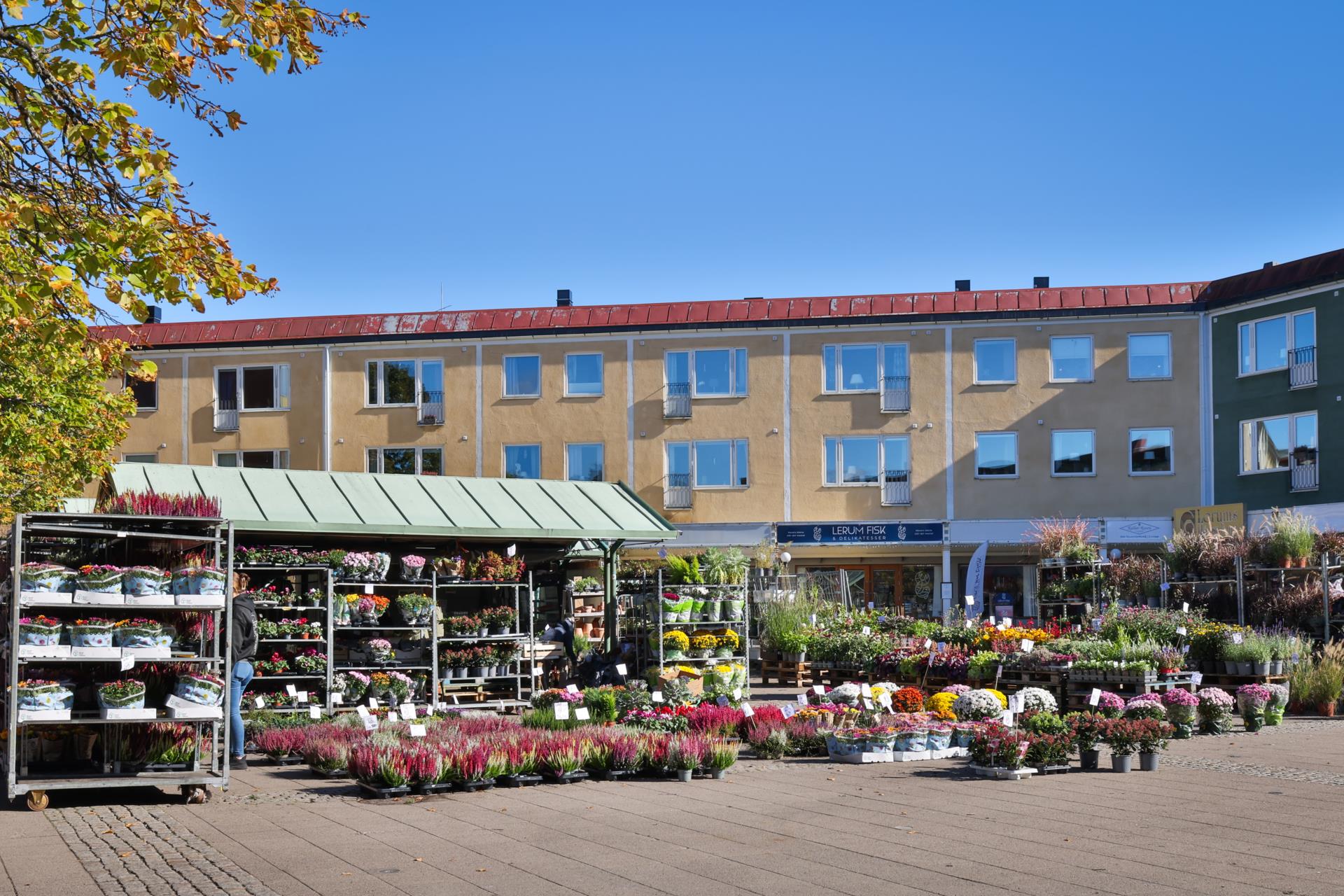 Modern villa med två uthyrningslägenheter och skogen som granne